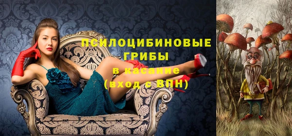 PSILOCYBIN Абдулино