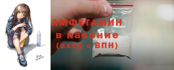 гашик Алексеевка