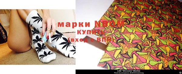 гашик Алексеевка