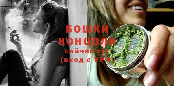 PSILOCYBIN Абдулино