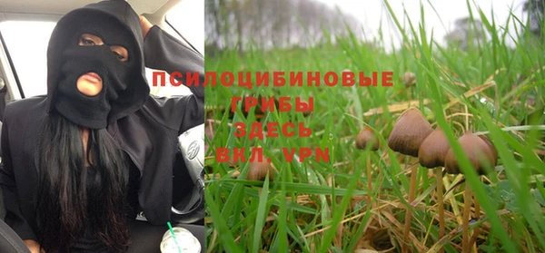 apvp Алексин